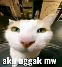 Nimbrung bersama